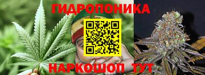 мдпв Пушкино