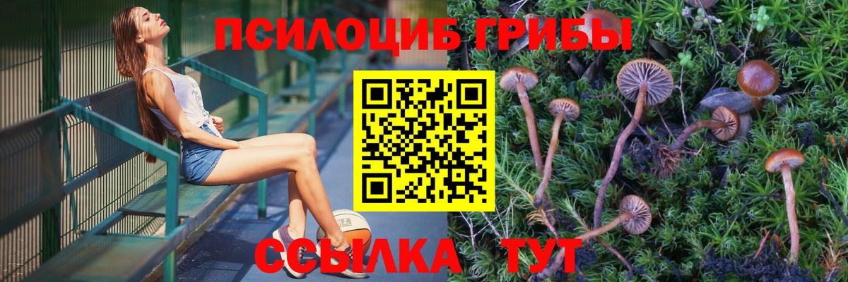 Псилоцибиновые грибы Psilocybine cubensis  Вход с VPN  где купить наркотик  Галлюциногенные грибы мухоморы  Сокол 
